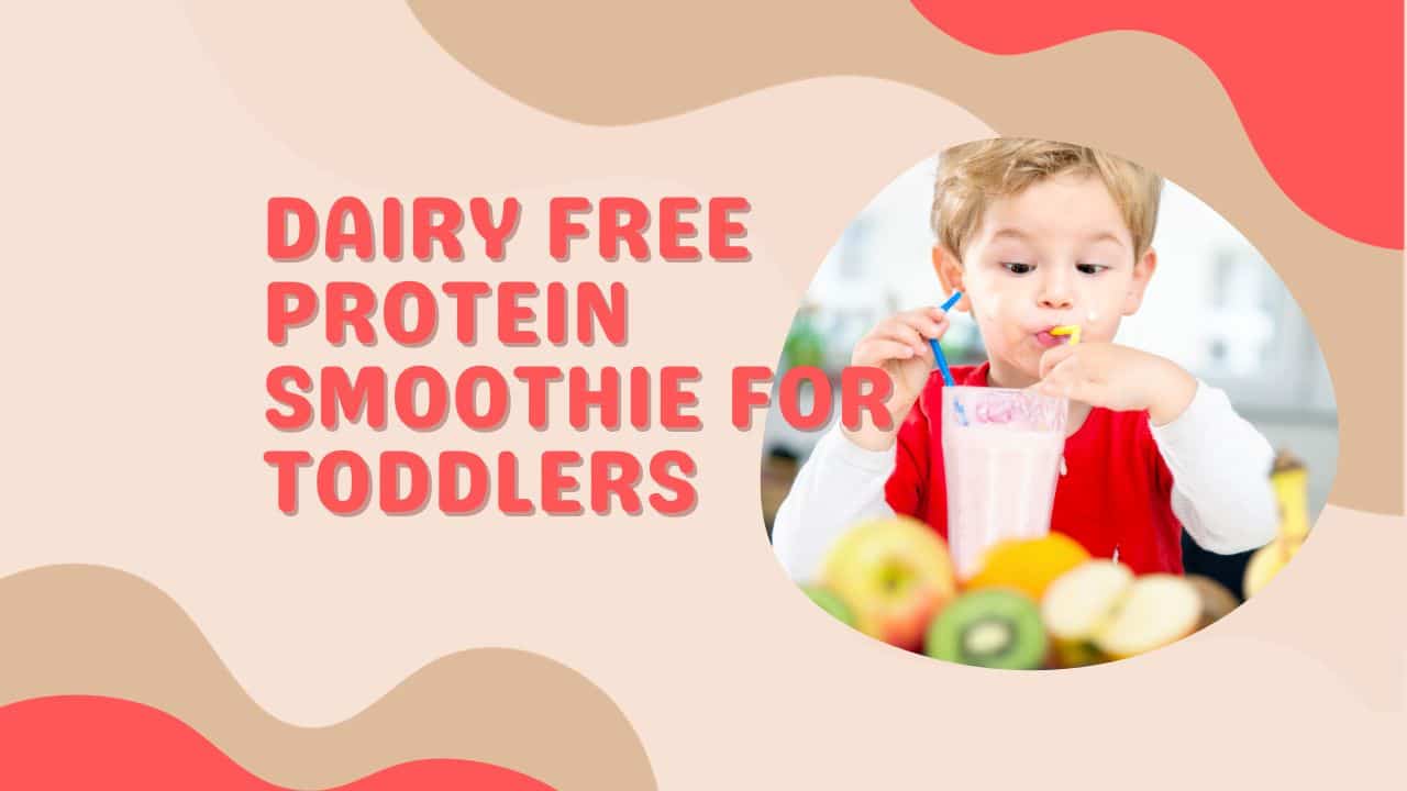 Dairy Free Protein Smoothie for Toddlers