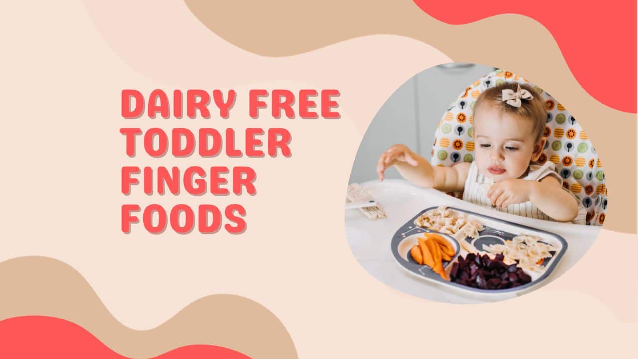 Dairy Free Toddler Finger Foods